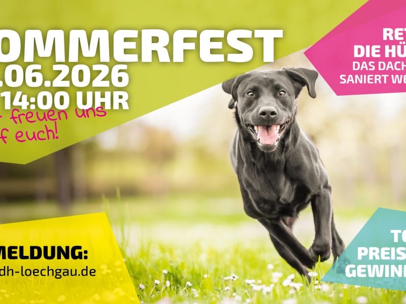 SOMMERFEST