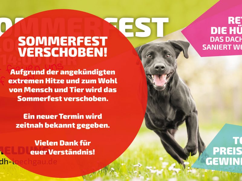SOMMERFEST